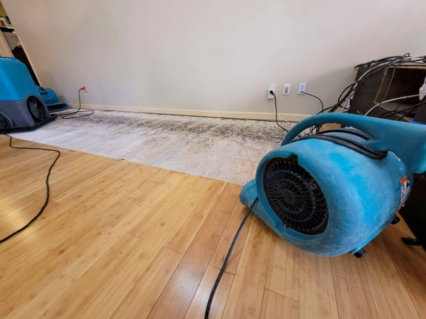Professional Water Removal technician working in Rodney, MI